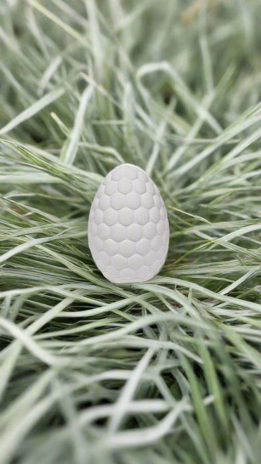Egg Suprise