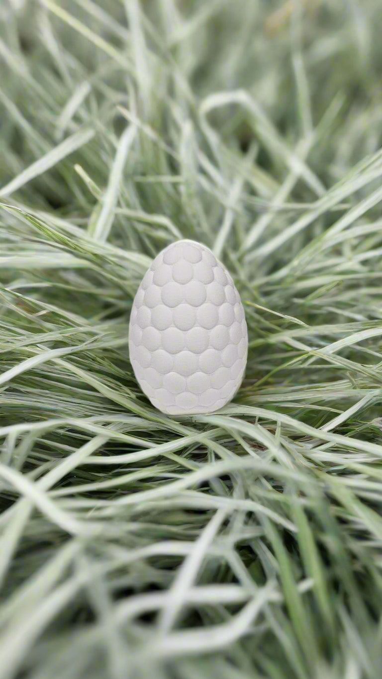 Egg Suprise