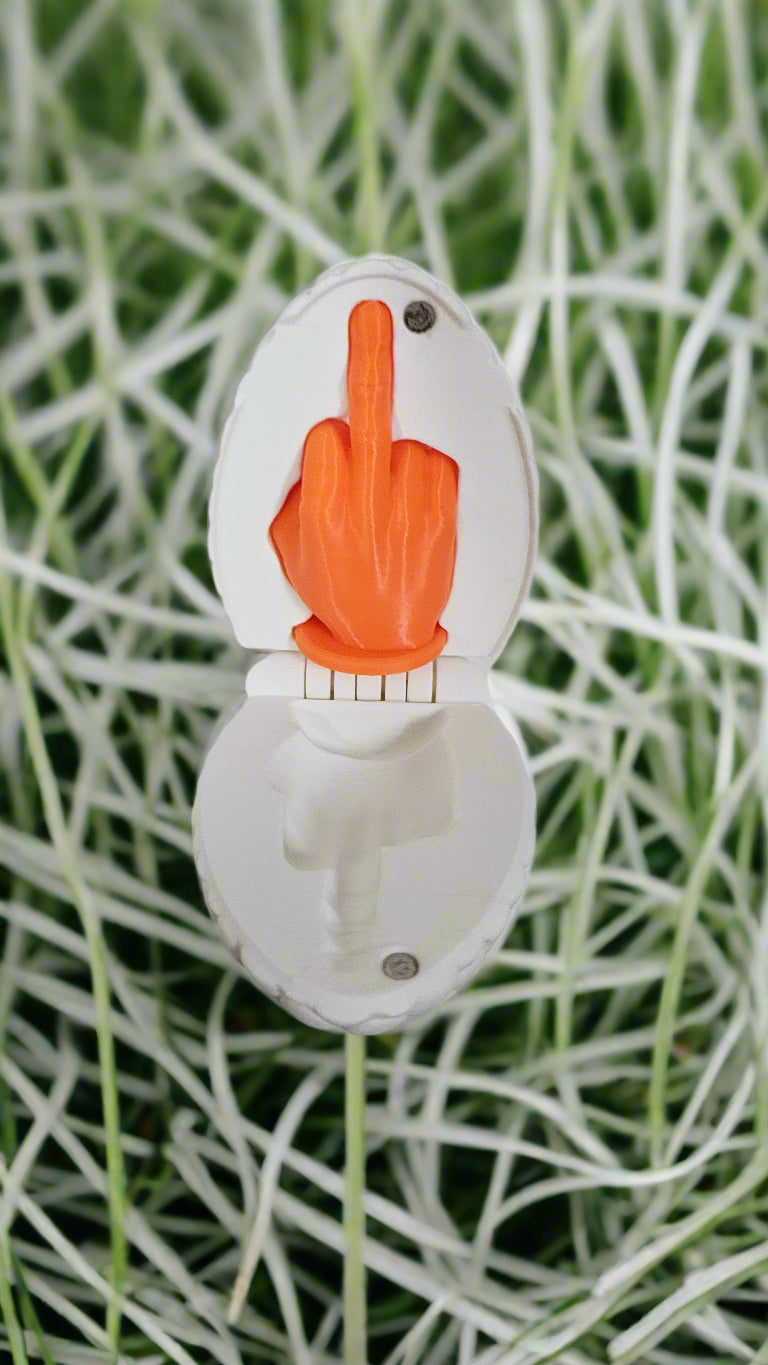 Egg Suprise